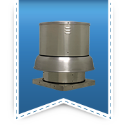 DB Model